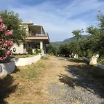 My Olive Tree House *
