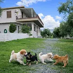 My Olive Tree House Dom wakacyjny *