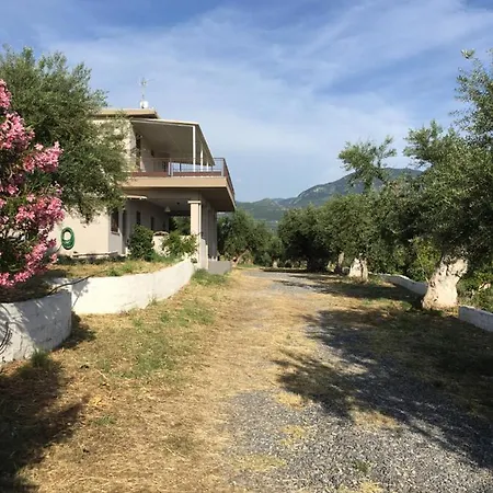 My Olive Tree House *