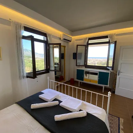 My Olive Tree House *