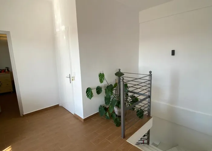 My Olive Tree House Kalamata