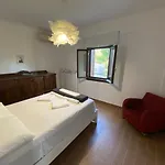 My Olive Tree House