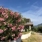 Holiday home My Olive Tree House Kalamata