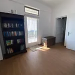 My Olive Tree House