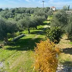 Hébergement de vacances My Olive Tree House