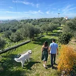 My Olive Tree House Holiday home *
