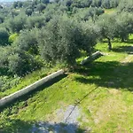 Holiday home My Olive Tree House *