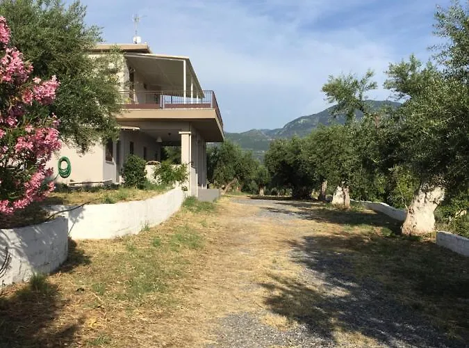 My Olive Tree House *