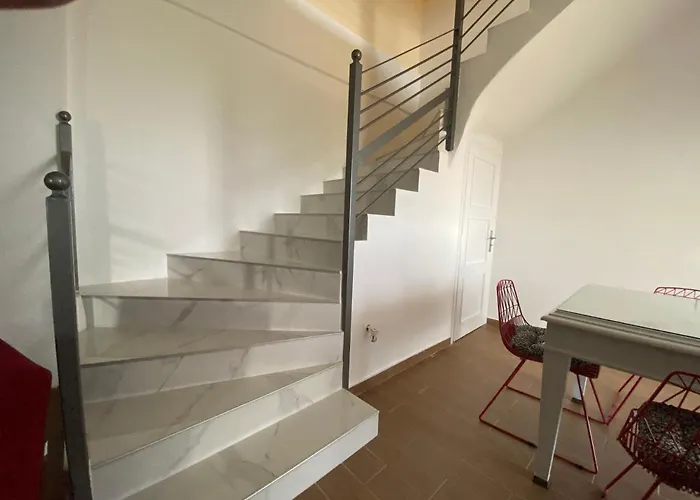 My Olive Tree House *