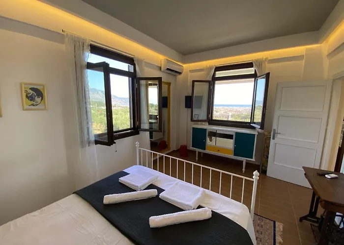 My Olive Tree House *