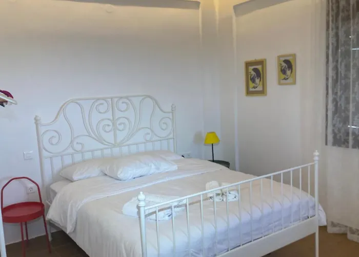 My Olive Tree House *