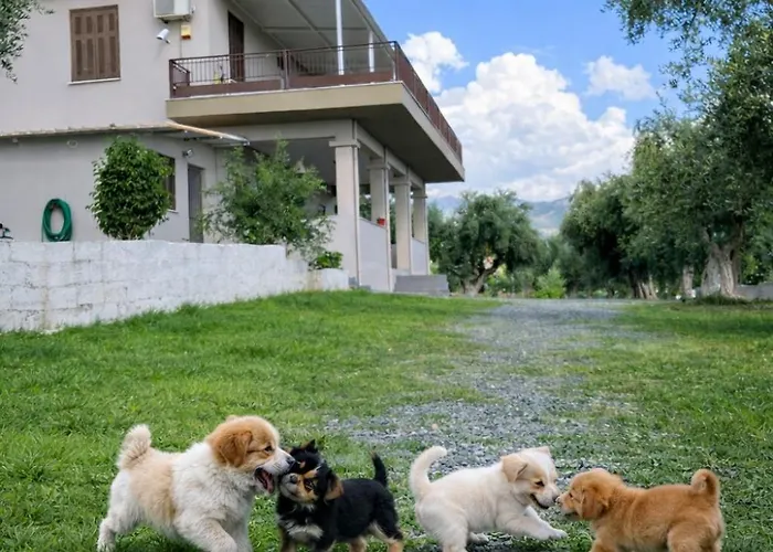 My Olive Tree House Сasa de vacaciones *