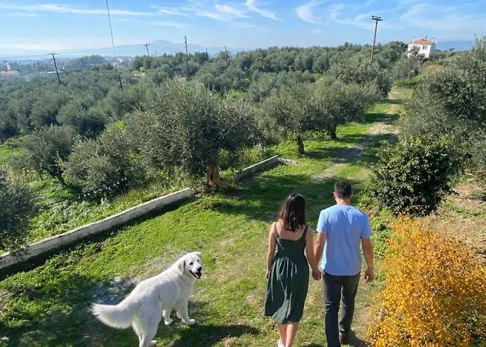 My Olive Tree House Сasa de vacaciones *